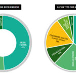 Quelle est la ration alimentaire d'un adolescent ?