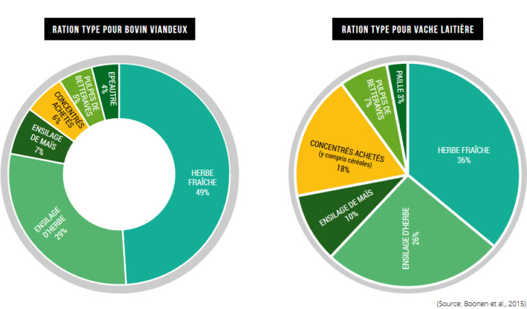 Quelle est la ration alimentaire d'un adolescent ?