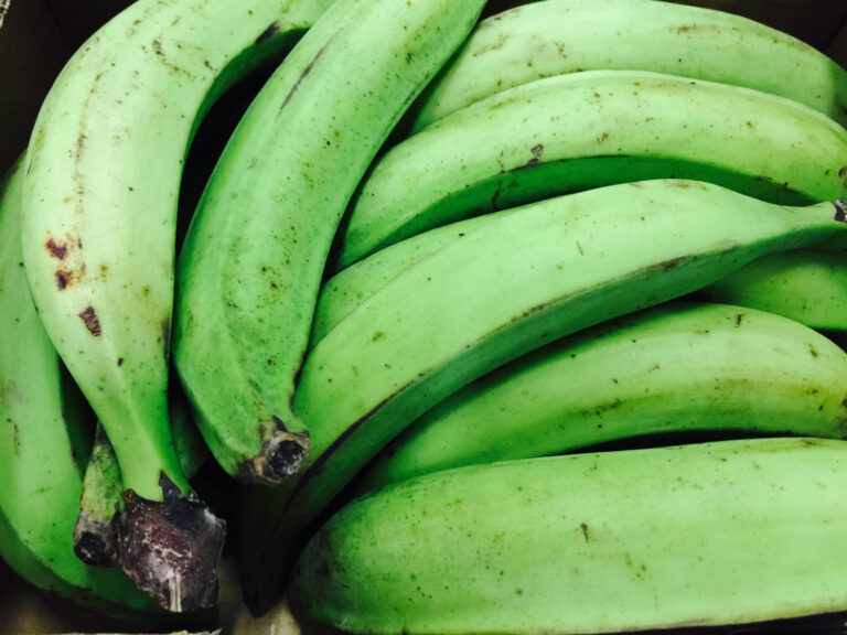 Quelle est la saison de la banane plantain ? Quelle est la saison de la banane plantain ?