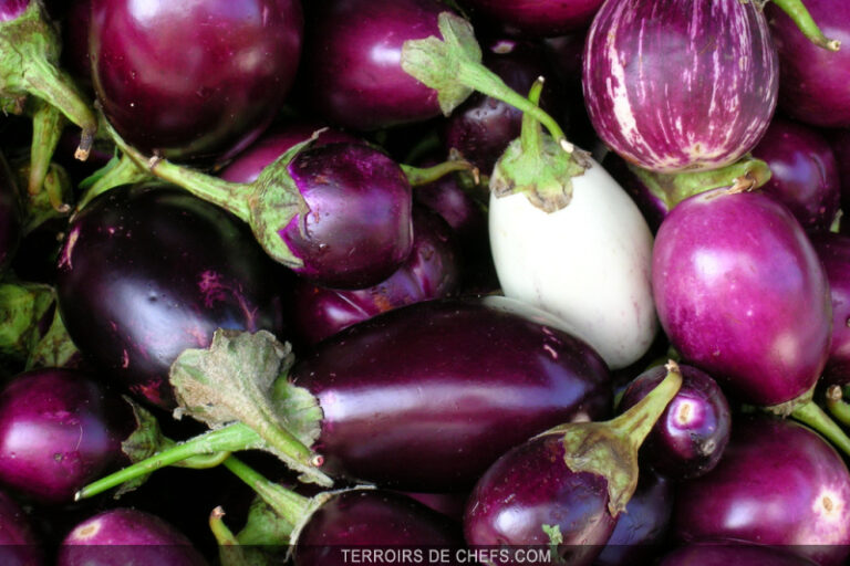 Quelle est la saison de l'aubergine ?