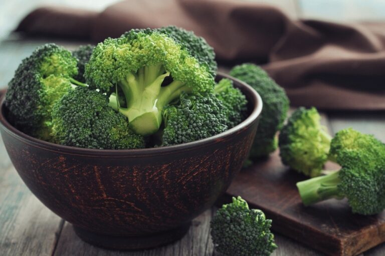 Quelle est la saison des brocolis ?