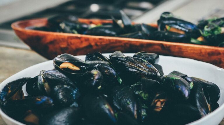 Quelle est la saison des moules ?
