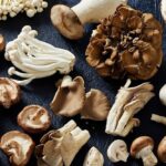 Quelle est la saison des pleurotes ?