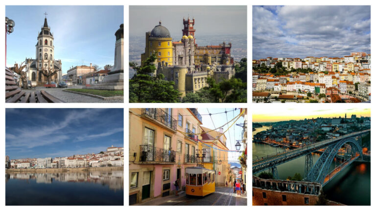 Quelle est la saison des rattes ?