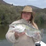 Quelle est la saison du sandre ?