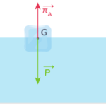 Quelle est la valeur de la pousse d'Archimède ?