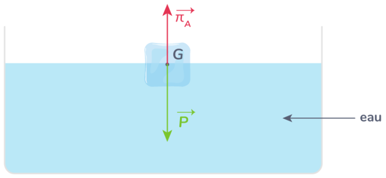 Quelle est la valeur de la pousse d'Archimède ?