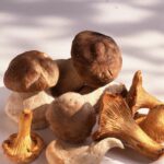 Les champignons sont très riches en protéines et vitamines. © FOOD-pictures, Adobe Stock