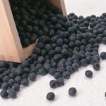 Quelle est la valeur nutritive du soja ?