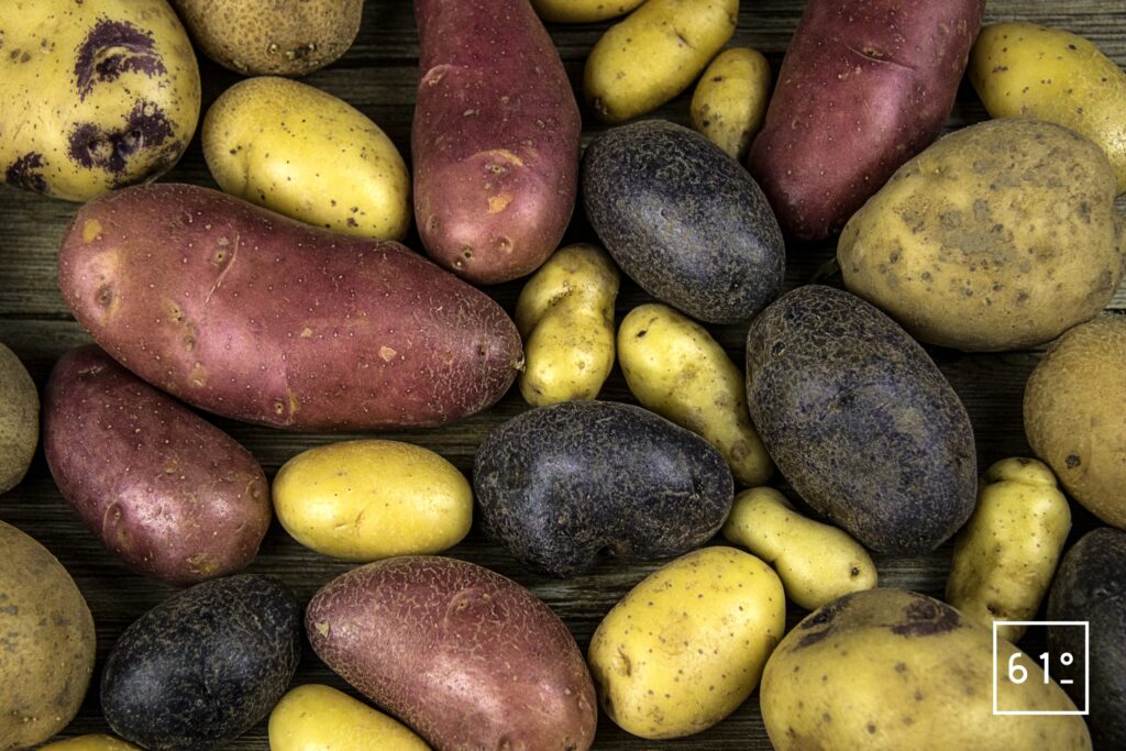 Quelle est la variété de pomme de terre la plus précoce ? LesRecettes — free download