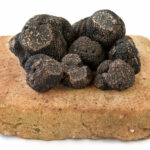 Quelle est l'odeur de la truffe noire ?