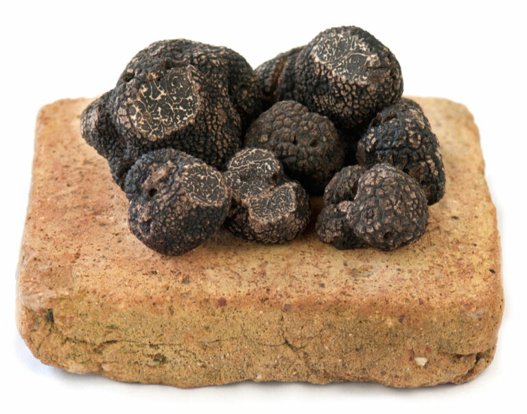 Quelle est l’odeur de la truffe noire ? Quelle est l'odeur de la truffe noire ?