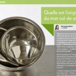 Quelle est l'origine de la poule ?