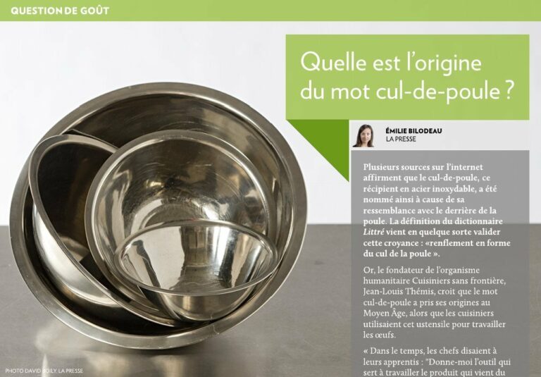 Quelle est l'origine de la poule ?