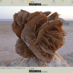 Quelle est l'origine de la rose des sables ?