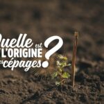 Quelle est l'origine des Sardes ?