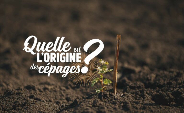 Quelle est l'origine des Sardes ?