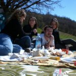 Quelle est l'origine du mot Pique-nique ?