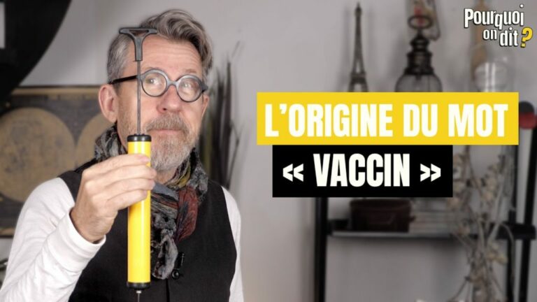 Quelle est l’origine du mot short ? Quelle est l'origine du mot short ?