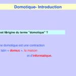 Quelle est l'origine du mot vermicelle ?