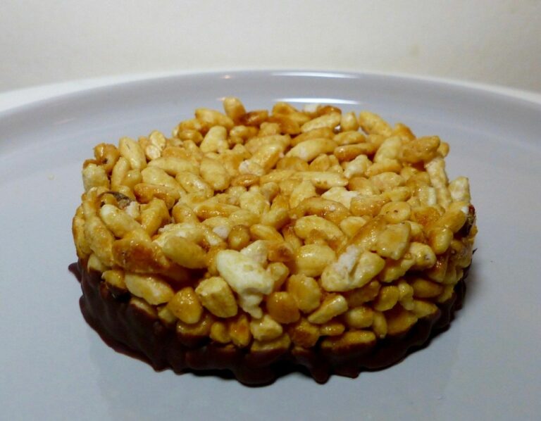 Quelle galette de riz choisir ?