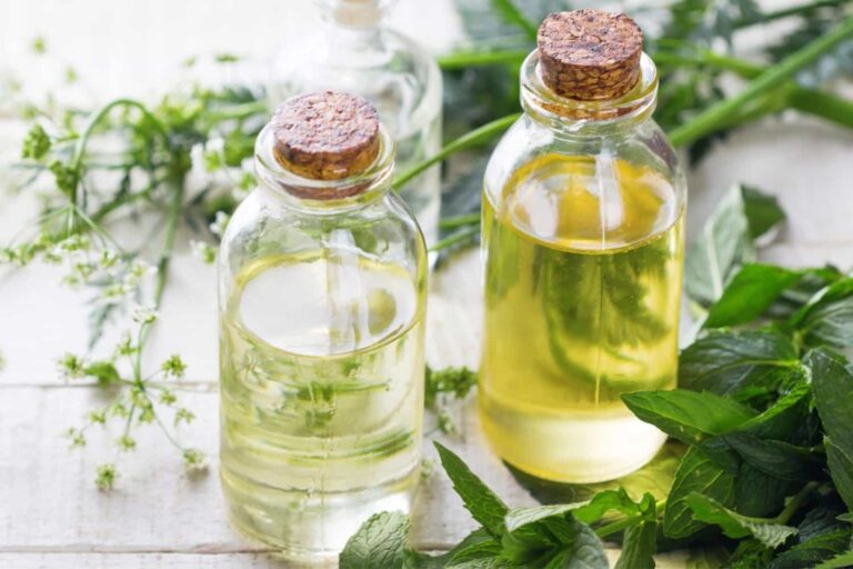 Quelle huile pour alloco ? Quelle huile pour alloco ?