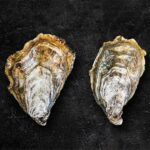 Quelle huître choisir pour gratiner ?