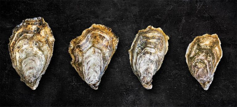 Quelle huître choisir pour gratiner ?
