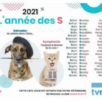 Quelle lettre pour les veaux en 2021 ?
