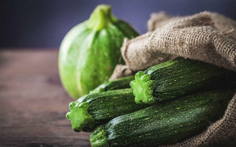 Quelle partie de la courgette se mange ? Quelle partie de la courgette se mange ?