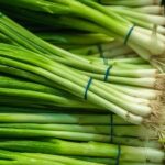 Quelle partie de l'oignon vert utiliser ?