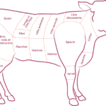 Quelle partie du veau pour l'osso buco ?