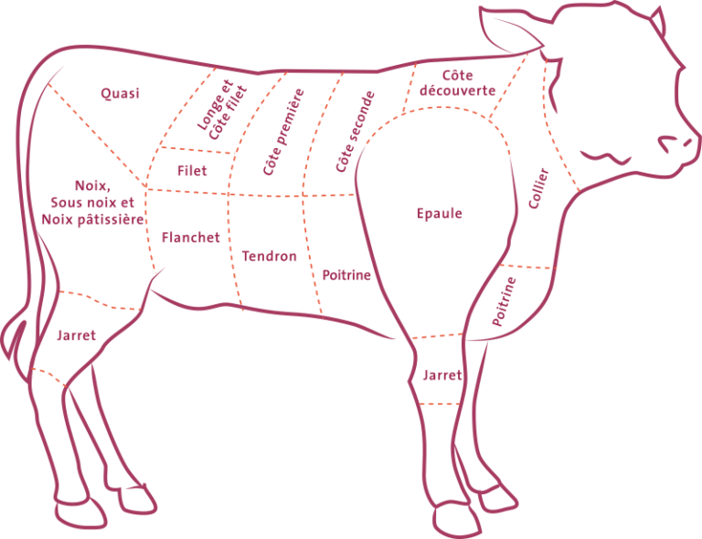 Quelle partie du veau pour l'osso buco ?