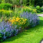 Quelle plante pour exposition plein soleil ?