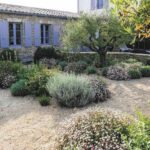 Quelle plante pour jardin provençal ?