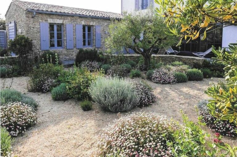 Quelle plante pour jardin provençal ?