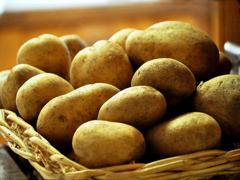 Quelle pomme de terre pour les frite rouge ou blanche ?