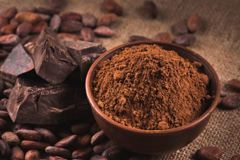 Quelle poudre de cacao choisir ?