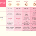 Quelle quantité de purée à 6 mois ?