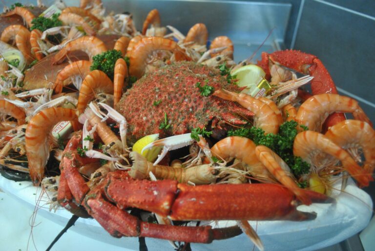 Quelle quantité pour un plateau de fruits de mer ? Quelle quantité pour un plateau de fruits de mer ?