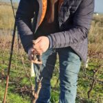 Quelle récolte en ce moment ?