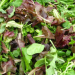 Quelle salade compose le mesclun ?