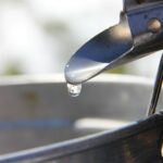 Quelle sève est utilisée pour fabriquer le sirop d'érable ?