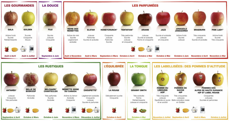 Quelle sorte de pommes pour faire de la compote ?