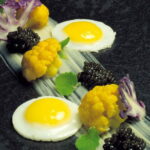 Quelle surface pour une caille ?