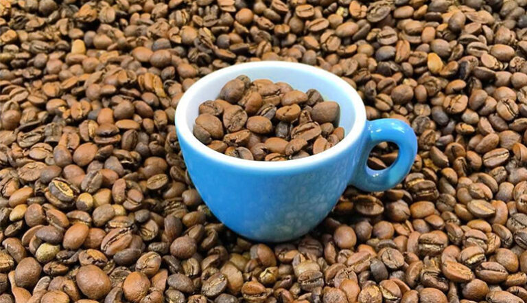 Quelle torréfaction choisir ?