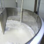 Quelle type de lait pour la Tomme ?