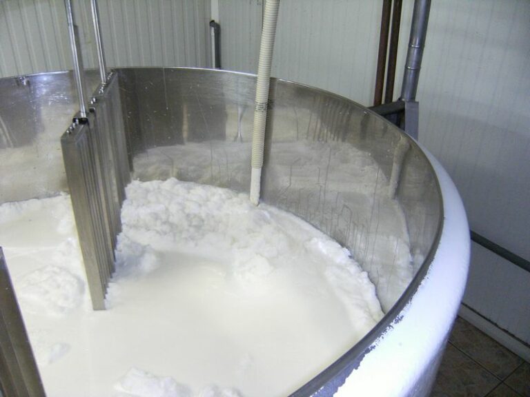 Quelle type de lait pour la Tomme ?