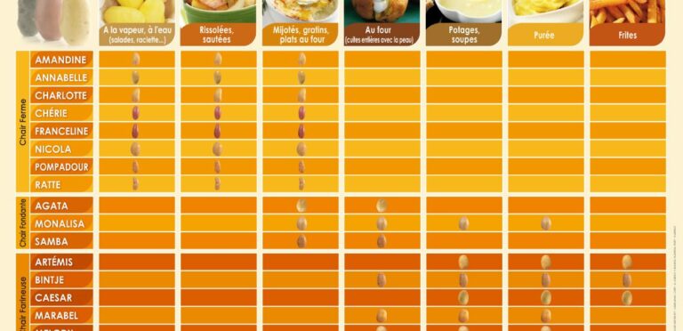 Quelle variété de pommes de terre utiliser pour un gratin dauphinois ? Quelle variété de pommes de terre utiliser pour un gratin dauphinois ?