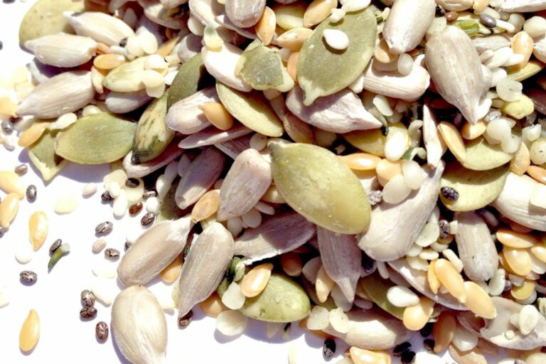 Quelles graines manger enceinte ? Quelles graines manger enceinte ?